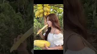 Farmer Fruit fruit mango fruitcutting food farming satisfying vegetables gardening facts [upl. by Susanetta457]