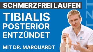 Sehnenscheidenentzündung am Tibialis Posterior  Schmerzfrei laufen mit Dr Marquardt  ARTZT [upl. by Zobkiw]