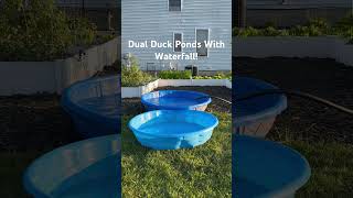 Easy Dual Duck Ponds With Waterfall [upl. by Cyn]