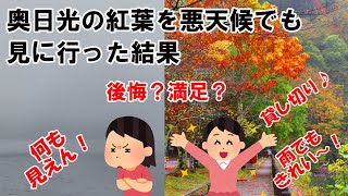 日光の紅葉を悪天候でも見に行ったら渋滞ゼロの貸切り状態だが、後悔？満足？ [upl. by Tessi391]