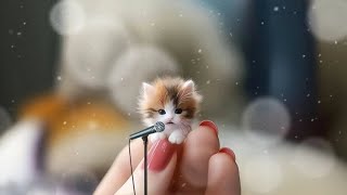 The smallest cat in the world 😲🤯😱 [upl. by Cristabel]