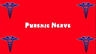 Pronounce Medical Words ― Phrenic Nerve [upl. by Avuha]