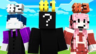 WER IST DER BESTE MINECRAFT SPIELER [upl. by Wiltshire]