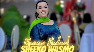 SEEKO WASMOMacaan Badan Raaxo Macaan Live ah toktok somali tiktok gabdhaha ugu shidan wasmo raaxo [upl. by Lorens360]