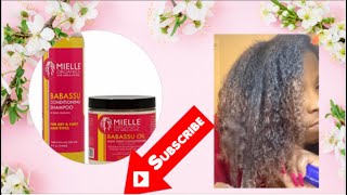 Mielle ORGANICS deep conditioner  Dyed natural hair  Washed hair  Type 3 Type 4 hair  natural [upl. by Aliekat]