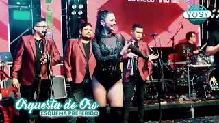 ⭐️10 Mix Brasileras  Orquesta de Oro 🎊12vo Festival de Orquesta🎺 [upl. by Routh]