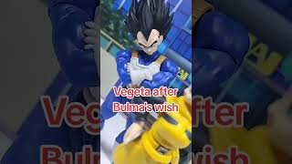 Vegeta after Bulmas Wish shfiguarts bandai dragonball vegeta anime toys collection [upl. by Saimerej]