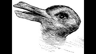 Duck or rabbit The 100yearold optical illusion that could tell you how creative you are [upl. by Ebag]