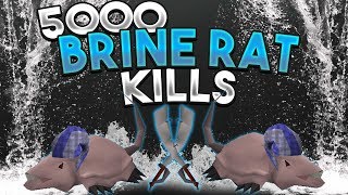 Loot From 5000 Brine Rats [upl. by Alesig]