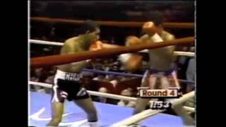 Hector Macho Camacho vs Edwin Rosario [upl. by Ahsirhcal]