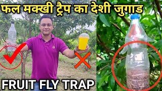 Fruit Fly Trap  Fal Makkhi Trap  Fruit Fly Control  How to control fruit fly in Guava [upl. by Domel]