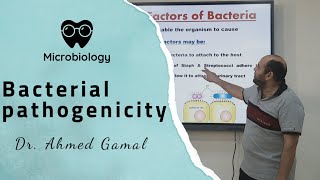 microbiology  Bacterial pathogenicity  DrAhmed gamal  BSNU [upl. by Gault]