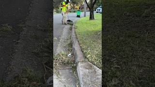 Cutting back overgrown edges part 2 asmr satisfying gardening [upl. by Robison]