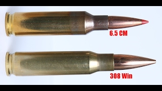 Can The 65 Creedmoor Replace the 308 Win As A SHTF Cartridge [upl. by Colton501]