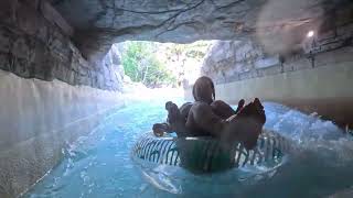 Dubai Atlantis Water Park amusement Slides and rapids 2 [upl. by Chancellor920]