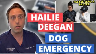 Vet Reacts  Hailie Deegan Describes Her Dogs Seizure Emergency [upl. by Keane707]