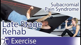 Subacromial Pain Syndrome SAPS  Late Phase Eccentric Rehab [upl. by Astera]