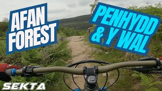 AFAN FOREST MTB💥 Penhydd and Y Wal best bits [upl. by Dett]