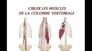 Cibler les muscles de la colonne vertébrale [upl. by Ahdar134]