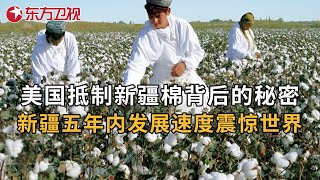 新疆发展速度震惊世界 美国抵制新疆棉背后有什么秘密阴谋？3年前被封锁的新疆棉如今怎么样了 叶尔羌河 第1集｜FULL [upl. by Nhguavaj701]