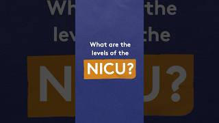 What are the levels of the NICU [upl. by Obed]