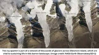 Earth from space 4 nearidentical glaciers spark new life in Arctic islands polar desert [upl. by Arbe]