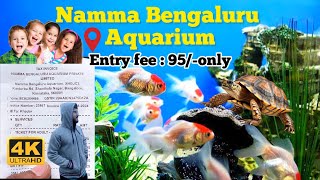 Namma Bengaluru Aquarium bengaluru fishaquarium mgroad karnataka fullvideo fishvideo 4k [upl. by Orofselet483]