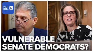 The Eight Most Vulnerable Senate Democrats In 2024 [upl. by Airahs]