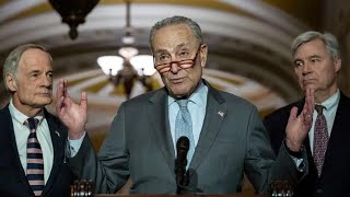 BREAKING Chuck Schumer Demands New Election [upl. by Anilev]