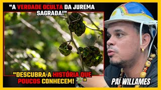 HISTORIA NÃO CONTADA DA JUREMA SAGRADA Revelada em 2024 [upl. by Granese387]