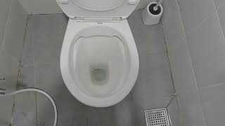 CCPB 2023 Reign Rimless toilet [upl. by Anert]