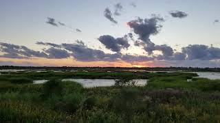 Lacassine National Wildlife Refuge [upl. by Michele]