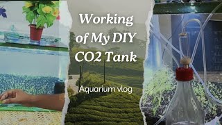 DIY CO2 Tank Does It Actually Work in my DIY Aquarium [upl. by Aetnuahs]