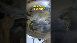 NILAGANG PAGONG [upl. by Araiek]