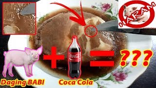 TERBUKTI Experimen Daging Babi Kasih Coca Cola Alhasil [upl. by Nimra]