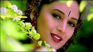 Dekha Hai Pehli Baar  4K Video Song  Salman Khan Madhuri Dixit  Saajan  90s Best Romantic Song [upl. by Dias819]