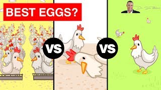 🥚 The Shocking Truth Between Free Range Cage Free and Pasture Raised Eggs  by Dr Sam Robbins [upl. by Modie321]