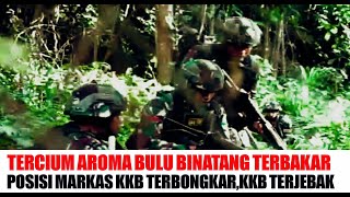 TERCIUM AROMA BULU BINATANG TERBAKARMARKAS KKB TERBONGKAR KKB TERJEBAK [upl. by Hctub]