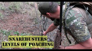 Snarebusters Dealing with Different Levels and Types of Poaching [upl. by Aiam]