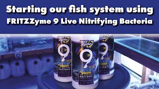 Cycling our fish system with FRITZZyme Live Nitrifying Bacteria [upl. by Darbee]