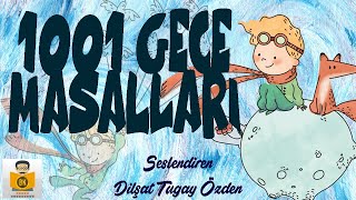 Binbir Gece Masalları  Sesli Kitap Tek Parça Dilşat Tugay Özden [upl. by Ibbie428]