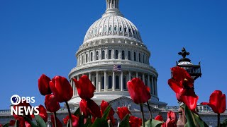 WATCH LIVE Senate holds hearing on unidentified aerial phenomena better known as UFOs [upl. by Nylsirhc137]