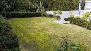 How to treat a lawn that is heavy with moss [upl. by Maxy]