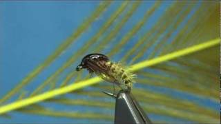 Tying a Pheasant Tail Caddis Pupa by Davie McPhail [upl. by Kuhn]