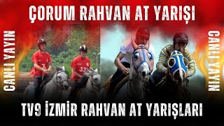 RAHVAN AT YARIŞLARI  ÇORUM  CANLI YAYIN [upl. by Ahseym]