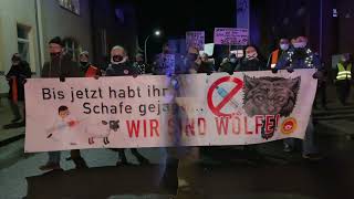 Wolgast Der Demonstrationszug ist unterwegs [upl. by Natka]