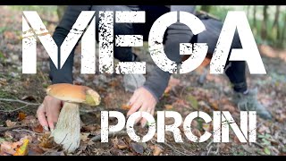 Mega Porcini  ottobre 2024 [upl. by Aidil]