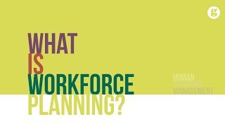 What is Workforce Planning [upl. by Gladdie]