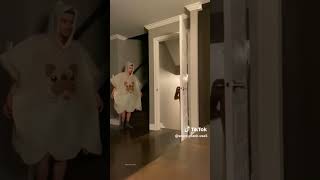 Jump scare shortvideo funnyvideo youtubeshorts shorts [upl. by Xenia449]