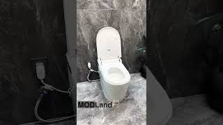 Stylish Bidet Toilet [upl. by Burkhard]